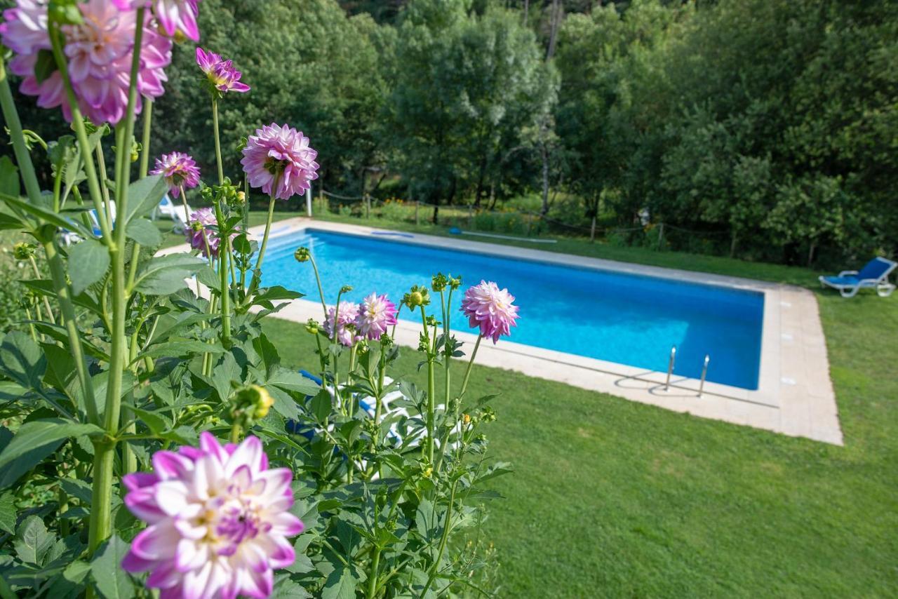Quinta Da Rabacosa - Turismo Rural Castro Daire Buitenkant foto