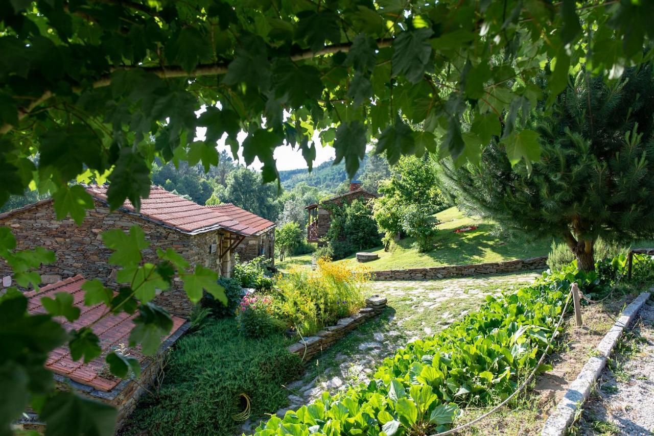 Quinta Da Rabacosa - Turismo Rural Castro Daire Buitenkant foto
