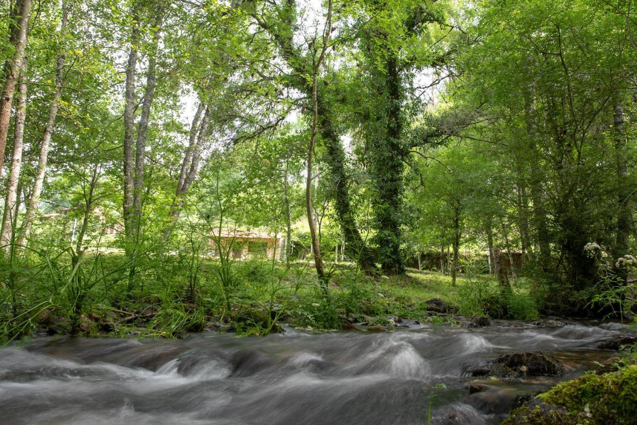 Quinta Da Rabacosa - Turismo Rural Castro Daire Buitenkant foto