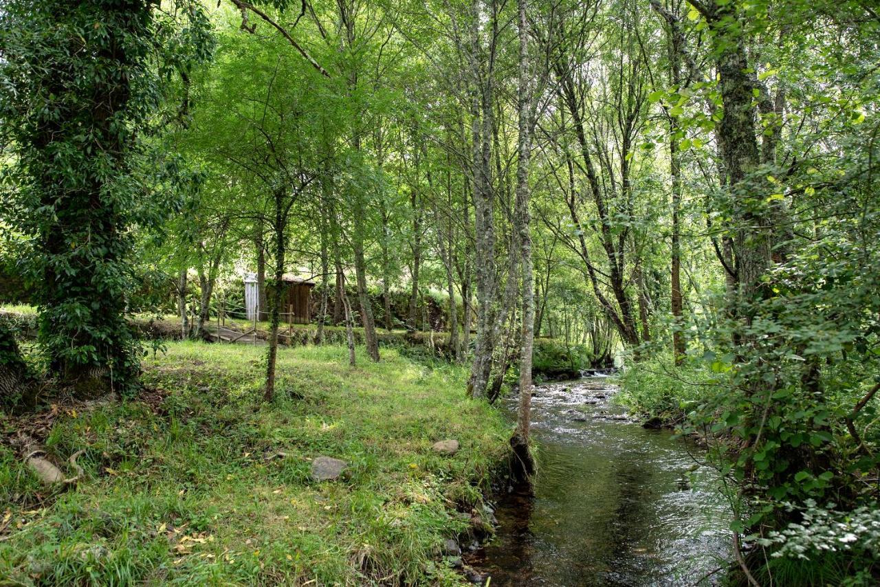 Quinta Da Rabacosa - Turismo Rural Castro Daire Buitenkant foto