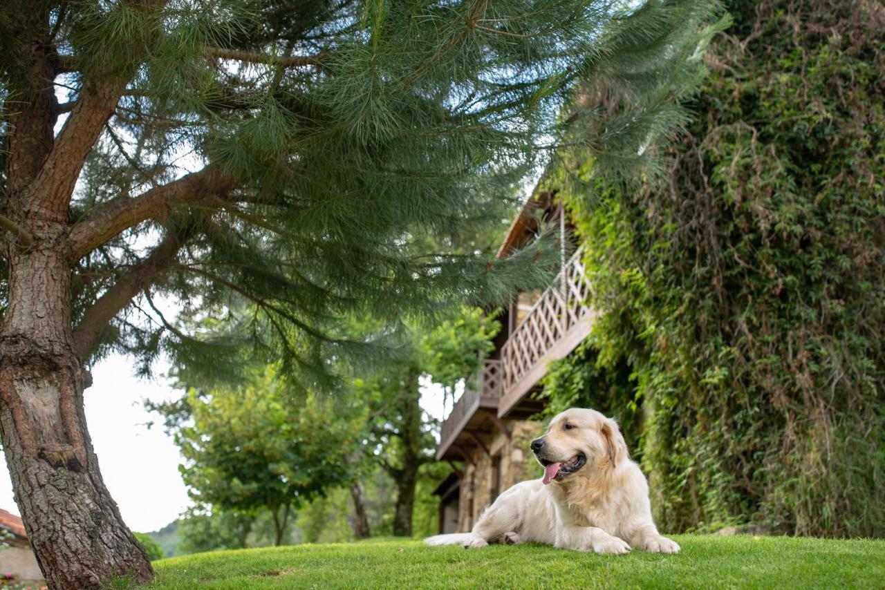Quinta Da Rabacosa - Turismo Rural Castro Daire Buitenkant foto