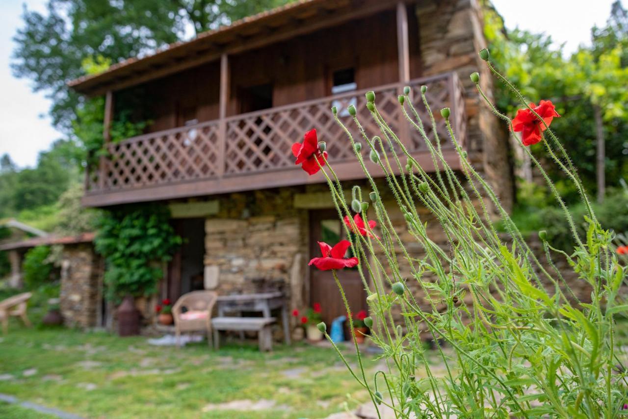 Quinta Da Rabacosa - Turismo Rural Castro Daire Buitenkant foto
